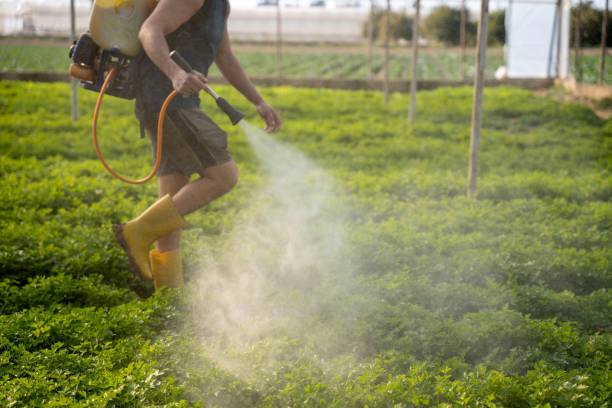 Trusted Jeffersonville, KY Pest Control Experts