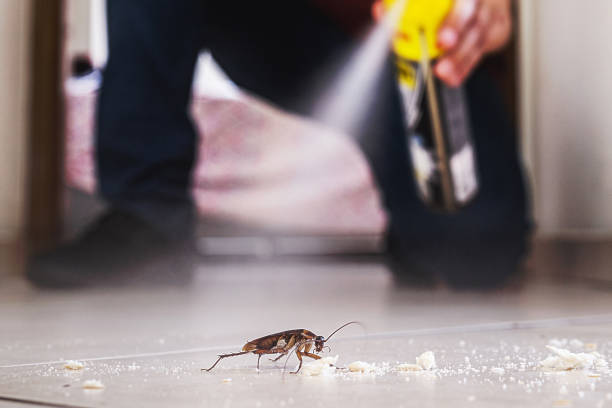 Best Exterminator Services  in Jeffersonville, KY