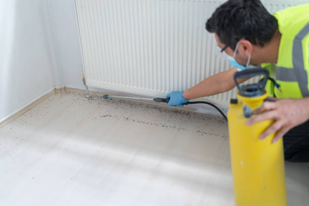 Best Best Pest Control Companies  in Jeffersonville, KY